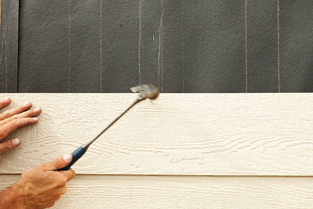 Best Historical Building Siding Restoration  in Butte, AK